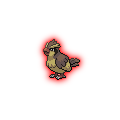 Dark Pidgey